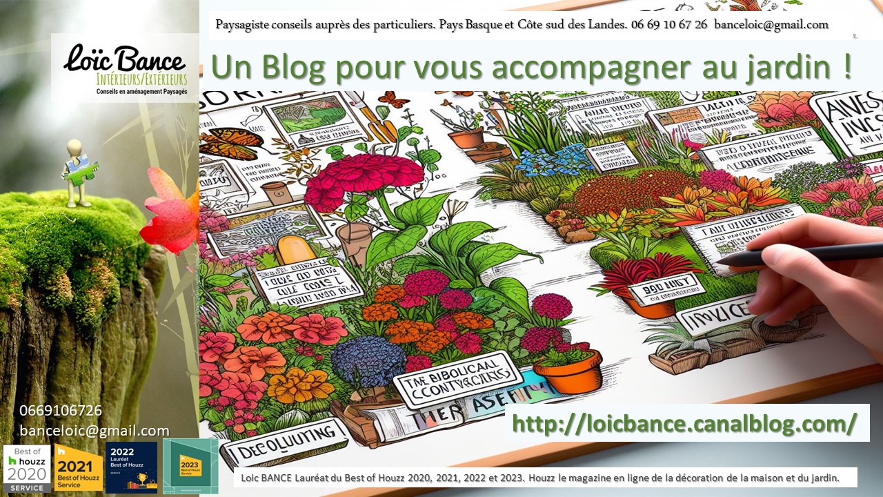 Paysagiste Bayonne le Blog jardin