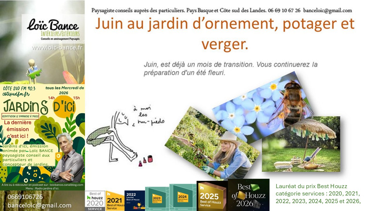 Les travaux de juin 2026 au jardin d'ornement, potager ou fruitier. Paysagiste Bayonne