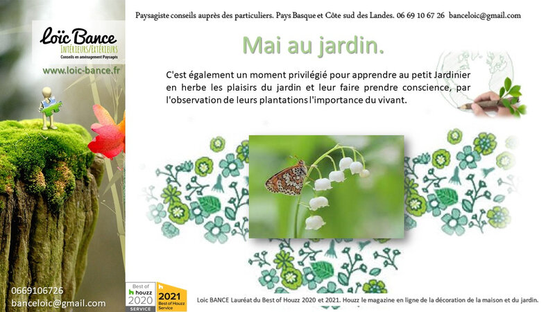 Les travaux du jardin en mai par Bayonne Paysages