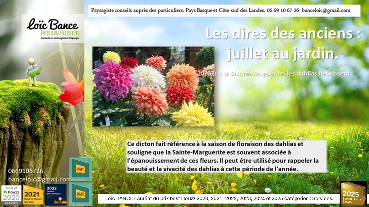 Proverbes; juillets; jardins; Loc BANCE; concepteur de jardins; Landes; Pays Basque; Paysagiste conseil; Paysagiste Landes; Bayonne; 