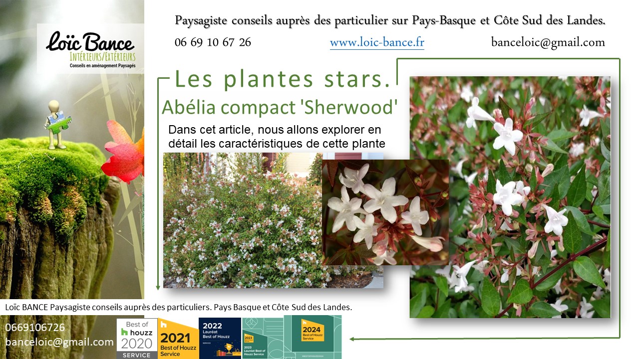 Paysagiste Pays Basque; Paysagiste Landes; Paysagiste conseil; Landes; Ahetze; Anglet; Arbonne; Arcangues; Bayonne; 