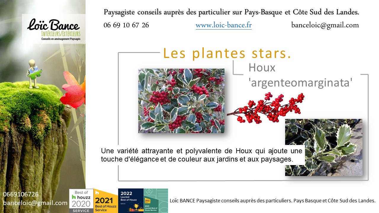 Bayonne paysage. Il est originaire d'Europe et est apprci pour ses feuilles panaches