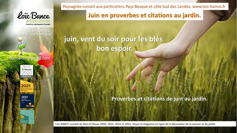 Paysagiste conseils auprs des particuliers sur le Pays Basque et la Cte Sud des Landes, j'aime  consulter les dires, citations et rcits sur les saisons aux jardins A suivre...ou pas...Ces proverbes et dictons renvoient  l'importance de la pluie, du soleil et des activits de jardinage propices au mois de juin.
