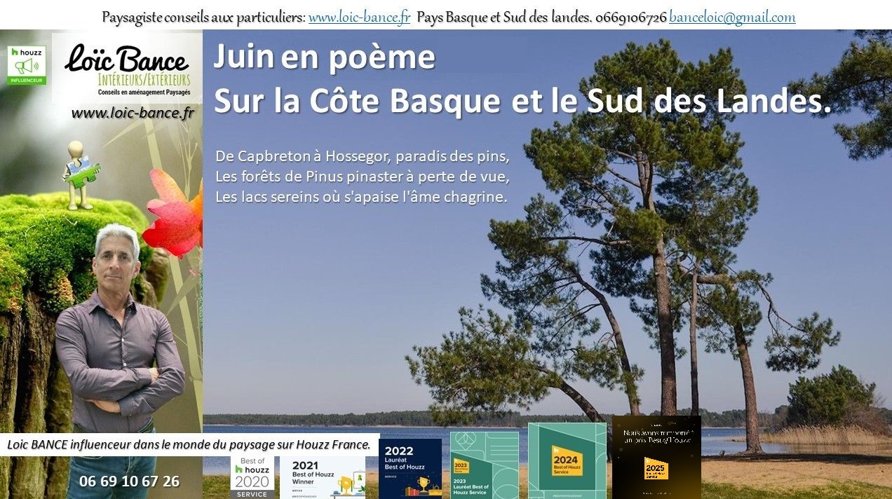 paysages; Landes; Pays Basque; Paysagiste; Paysagiste Landes; Paysagiste Pays Basque; Loc BANCE; Concepteur de jardins; Amnagements paysagers; Paysagiste conseils aux particuliers; Juin; Bayonne; 